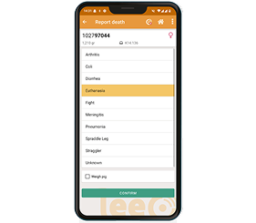 Smartphone a mostrar a visualização do relatório de mortalidade da aplicação