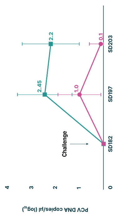 Mean PCV2 load fecal swabs