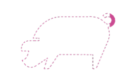 Ícone pontilhado de porco preenchido a rosa 2,77%