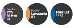 Logotipos das vacinas Porcilis PCV M Hyo ID, Lawsonia ID e PRRS