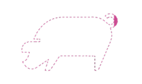 Ícone pontilhado de porco preenchido a rosa 1,94%