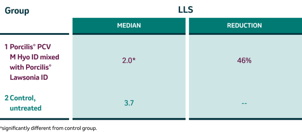 Duration of immunity studies for Mesomycoplasma hyopneumoniae protection. LLS table