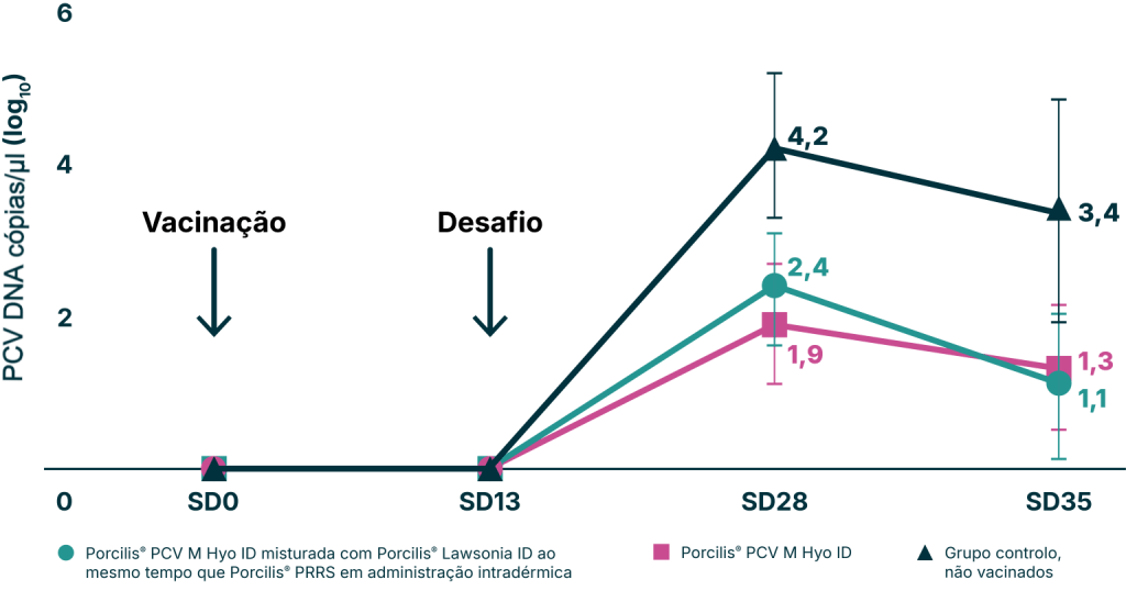 Gráfico de linhas comparativo para estudos de início de imunidade para proteção contra PCV2. Resultados de viremia