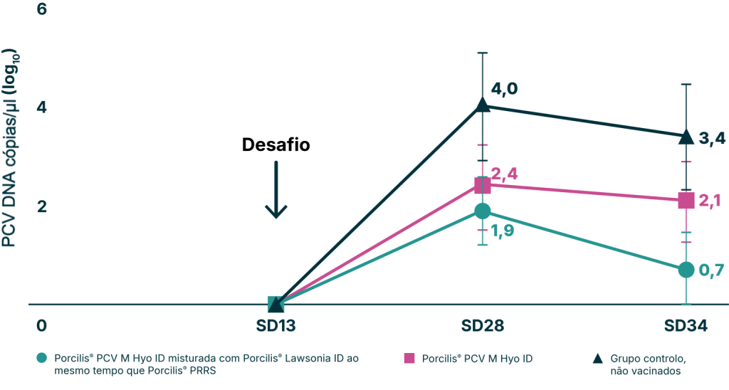 Gráfico de linhas comparativo para estudos de início de imunidade para proteção contra PCV2. Resultados de eliminação fecal