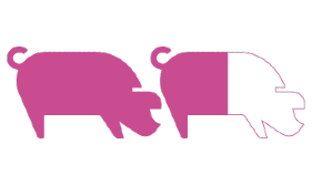 Ícone de dois porcos preenchidos a rosa 1,6 partes